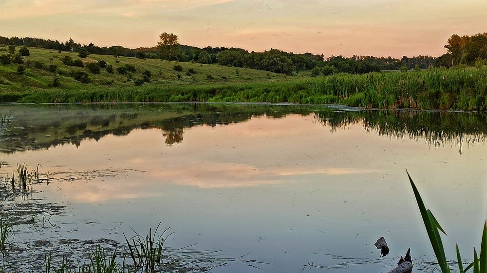Photograph by Новикова Елена Сергеевна
