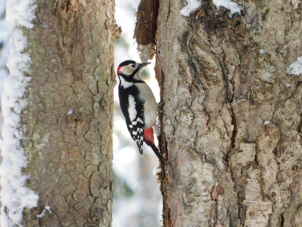 Photograph by Алексей