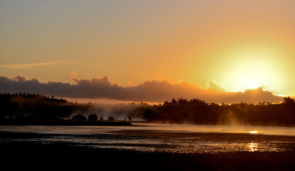 Photograph by ruurd visser