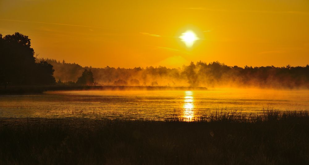 Photograph by ruurd visser