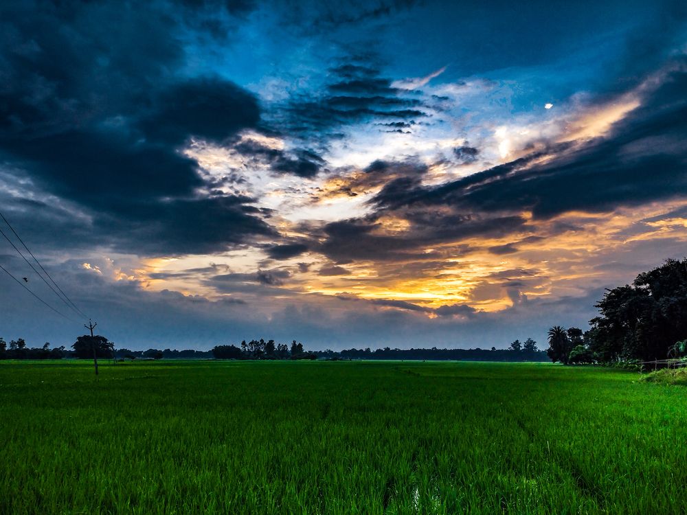 Фотография автора Subhankar Sarkar