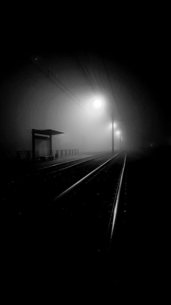 Photograph by Евгений Кривошеев