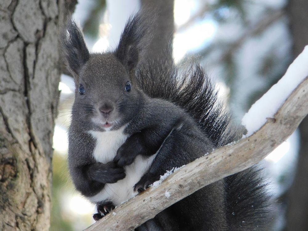 Photograph by Алексей И