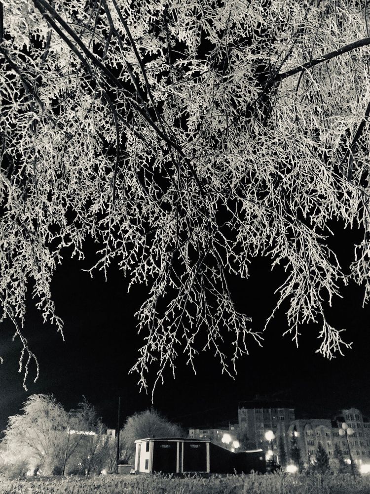 Photograph by Мария Фомичева