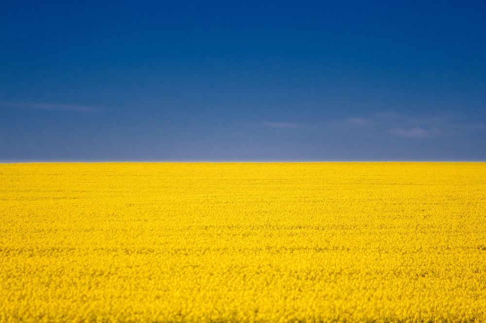 Photograph by Сергей Морозов