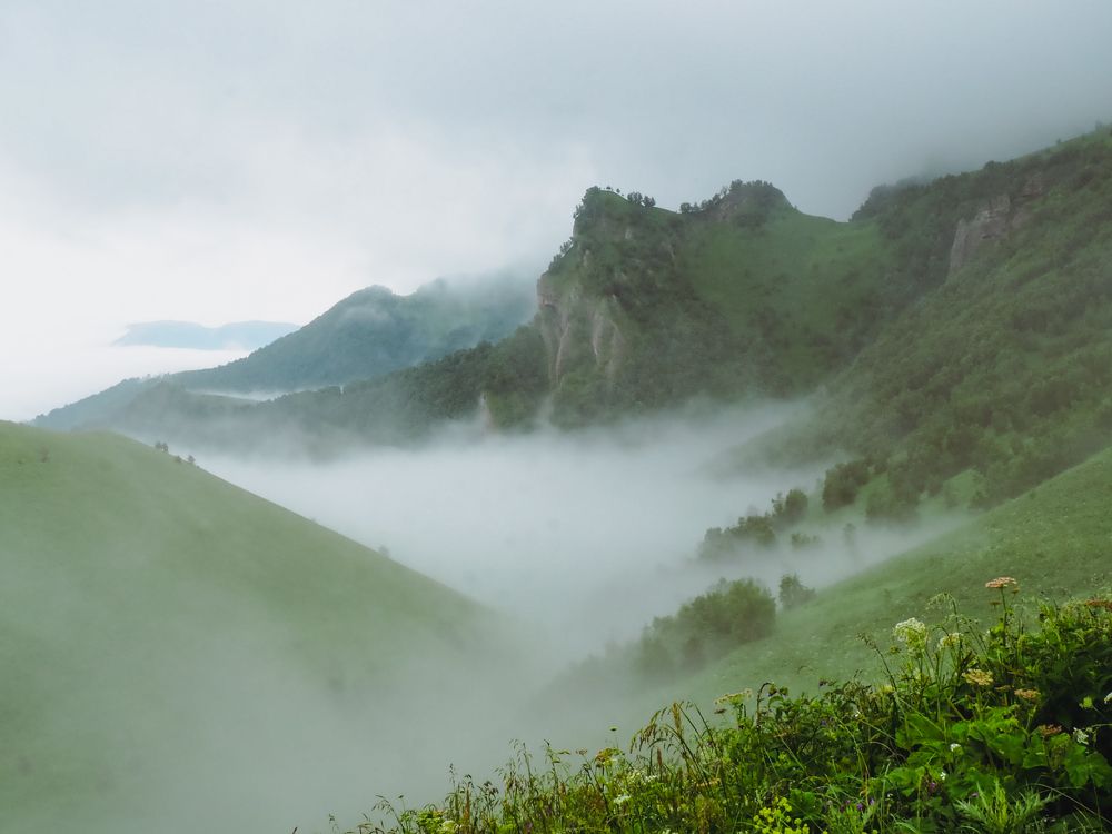 Photograph by Alexandra German