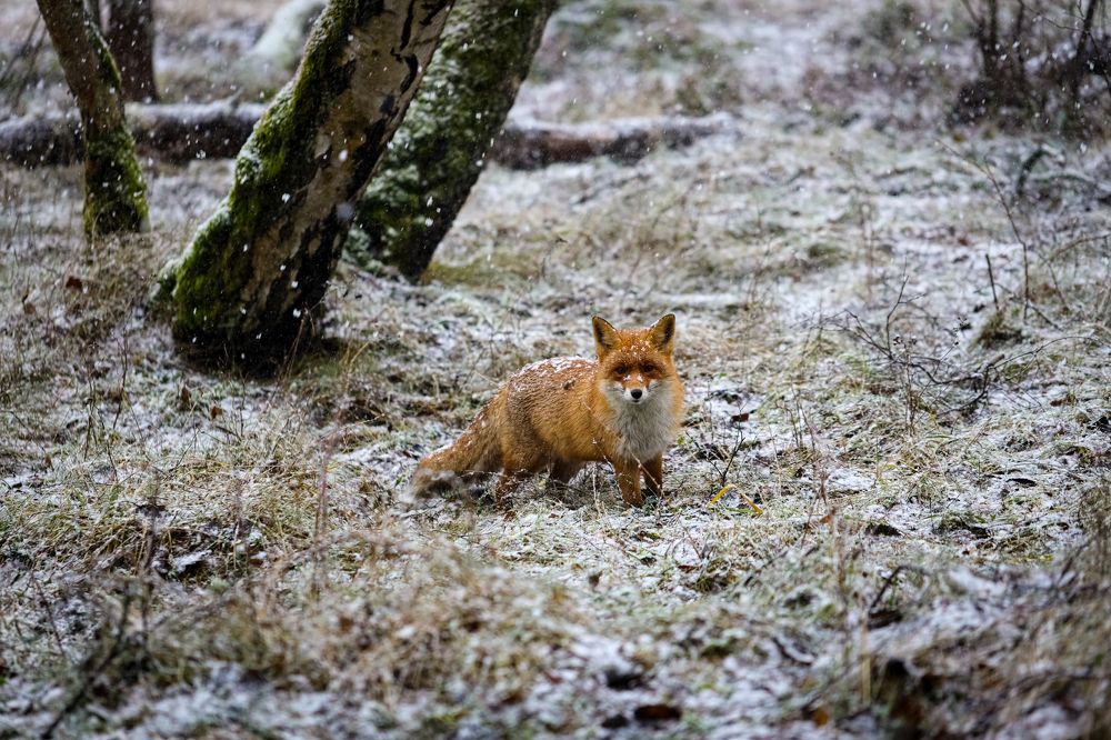 Photograph by Biryukova Anastasia