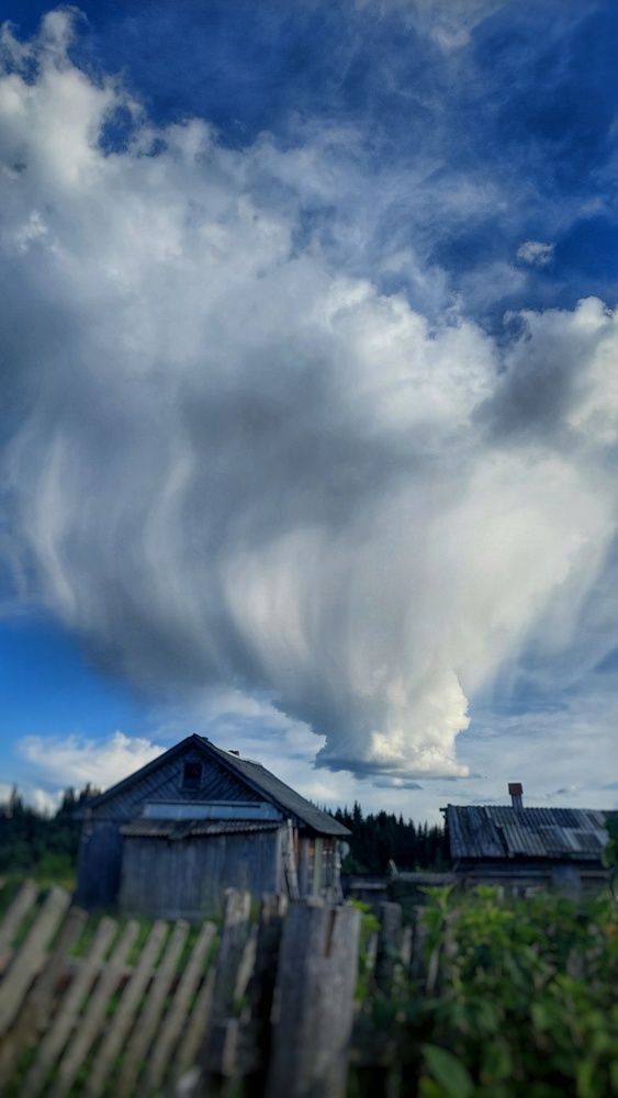 Photograph by Алёна Вороная