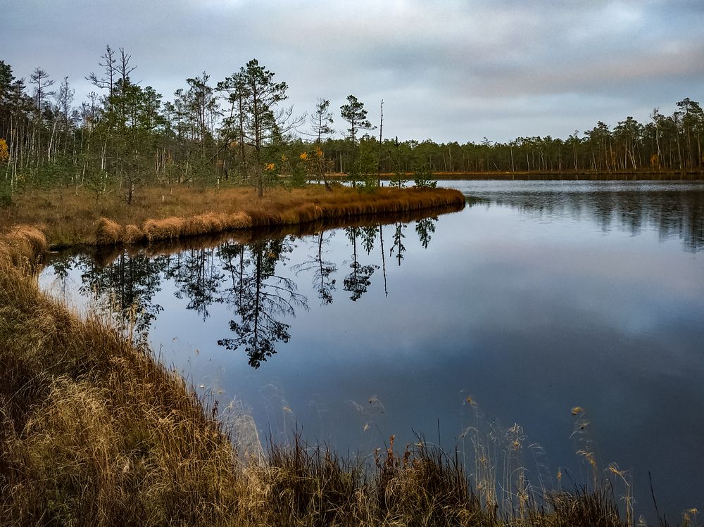 Photograph by Анастасия Кулешевич