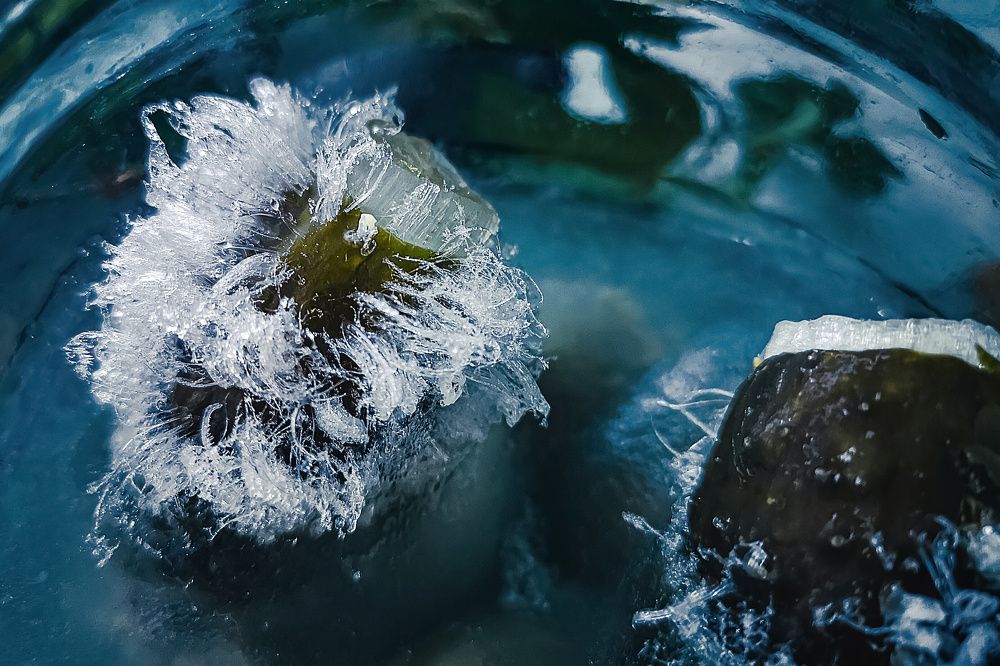 Фотография автора Татьяна Бравая