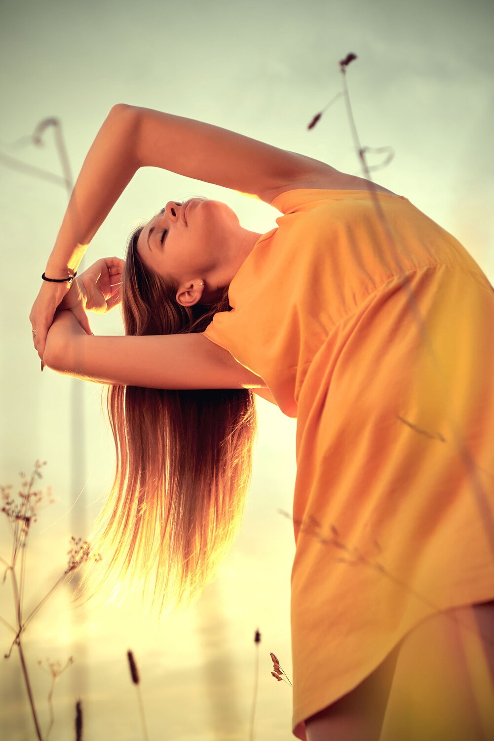 Photo #8464622