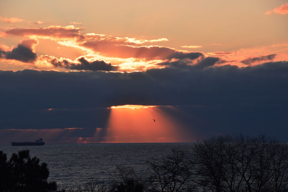 Небесные врата