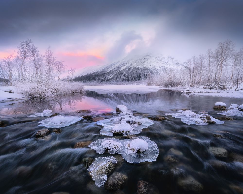 Photograph by Dmitry Medyancev