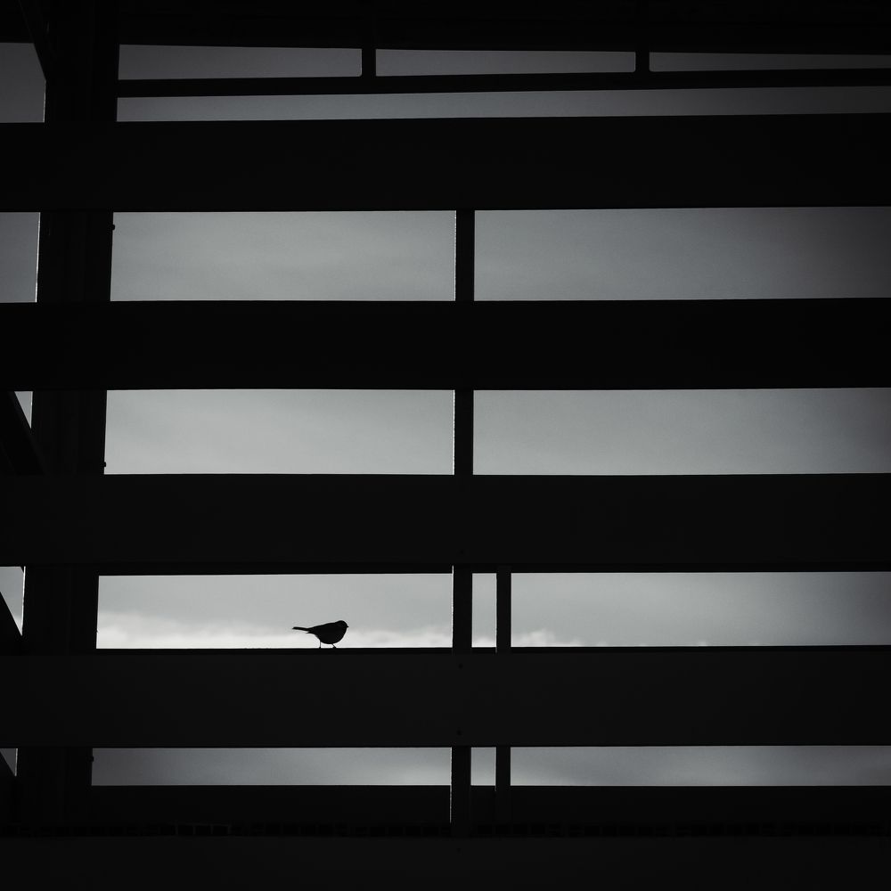 Photograph by Суковач Роман