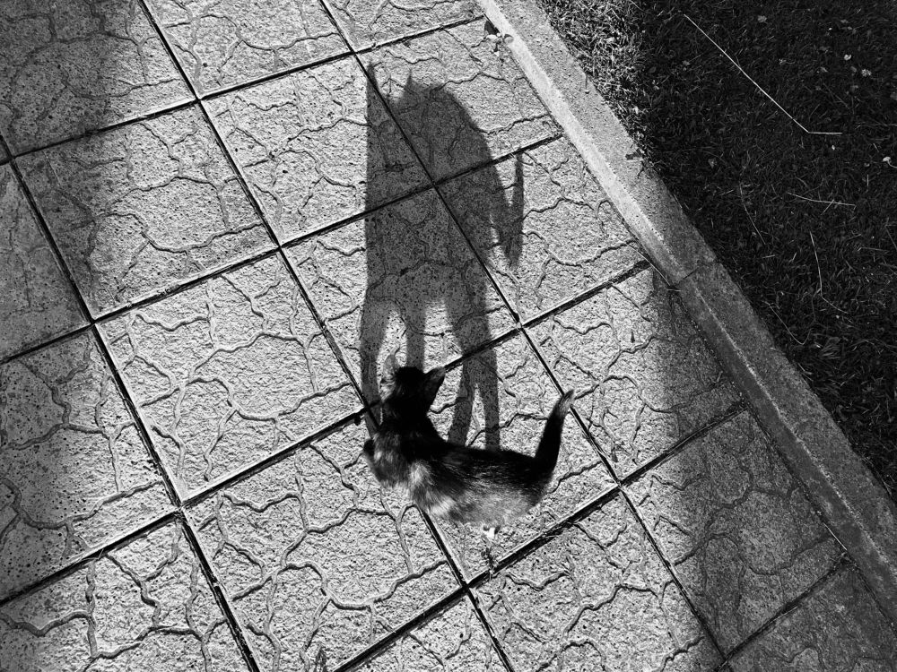 Photograph by Алексей Алексейчик