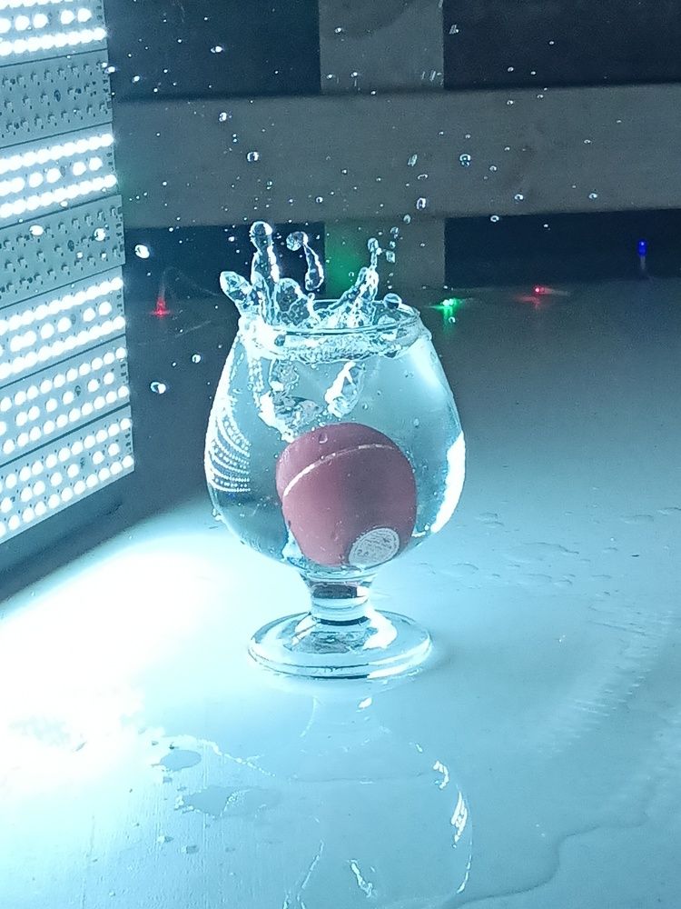 Photograph by Анастасия Никитина