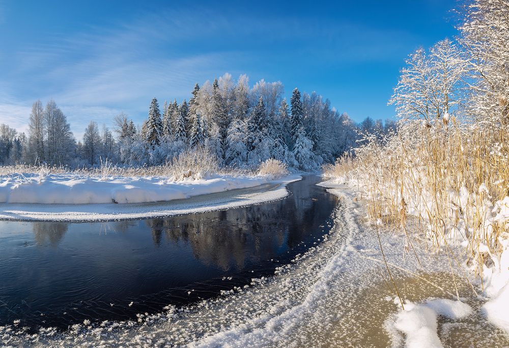 Фотография автора Татьяна Афиногенова