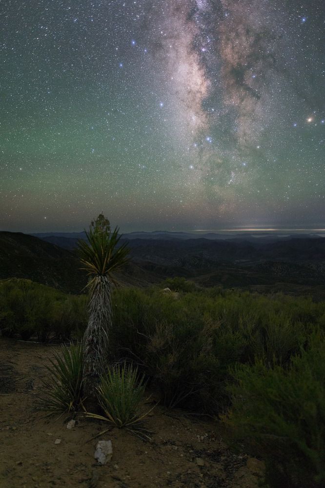 Once upon a time in Mexico