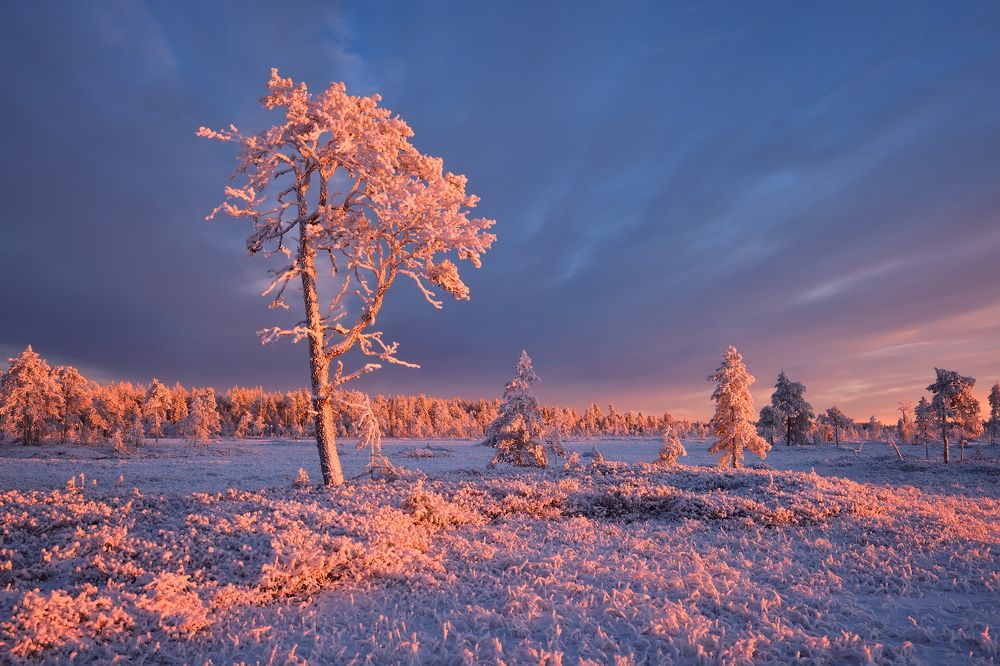 Фотография автора Максим Евдокимов (phototourtravel.ru)