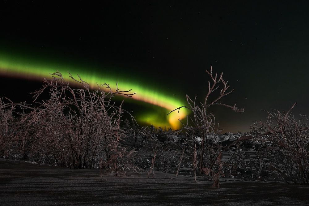 Photograph by Ирина Коннова