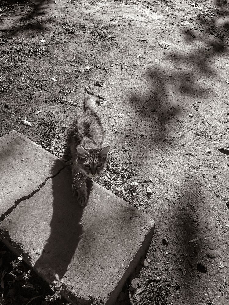 Photograph by Алексей Трифонов