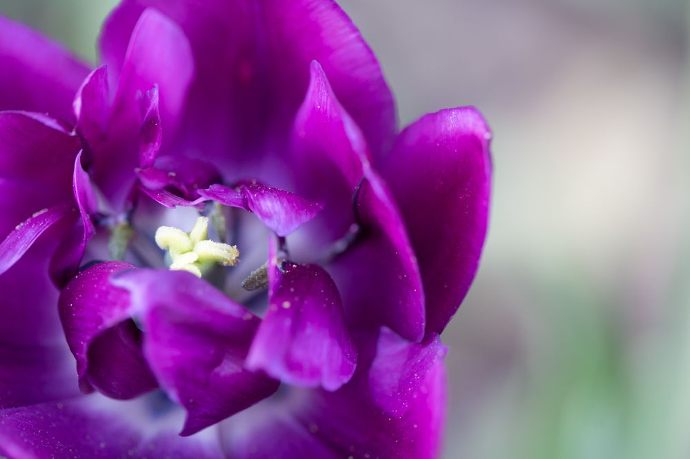 Photograph by Eliane Pellegrini