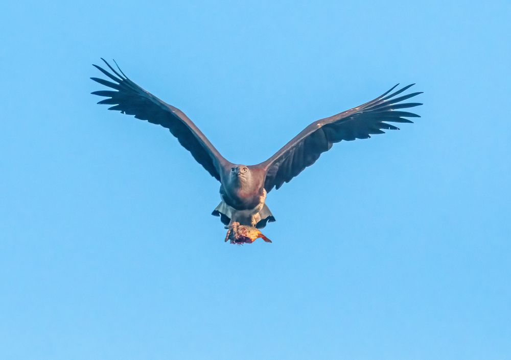 Photograph by Karmakar Kousik