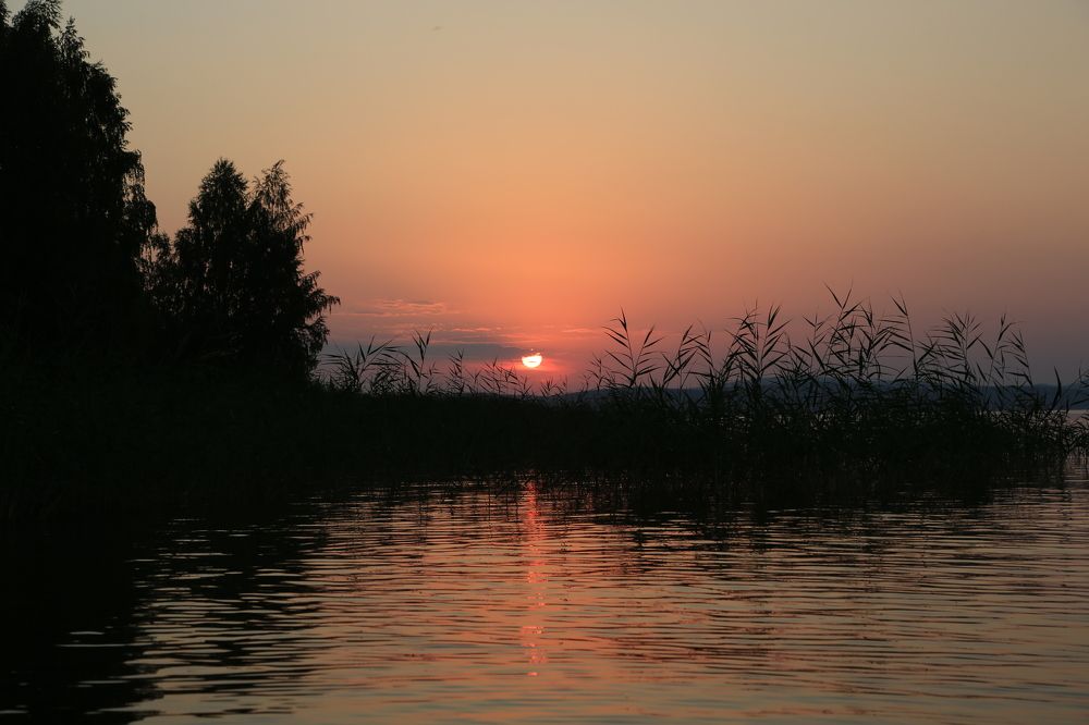 Photograph by Каргин Валерий