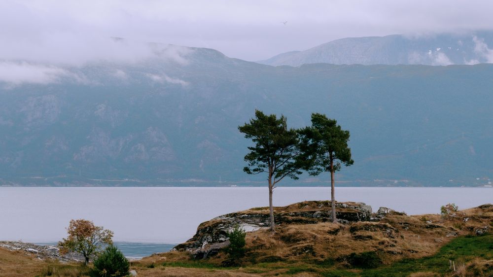 Фотография автора Устинов Владимир