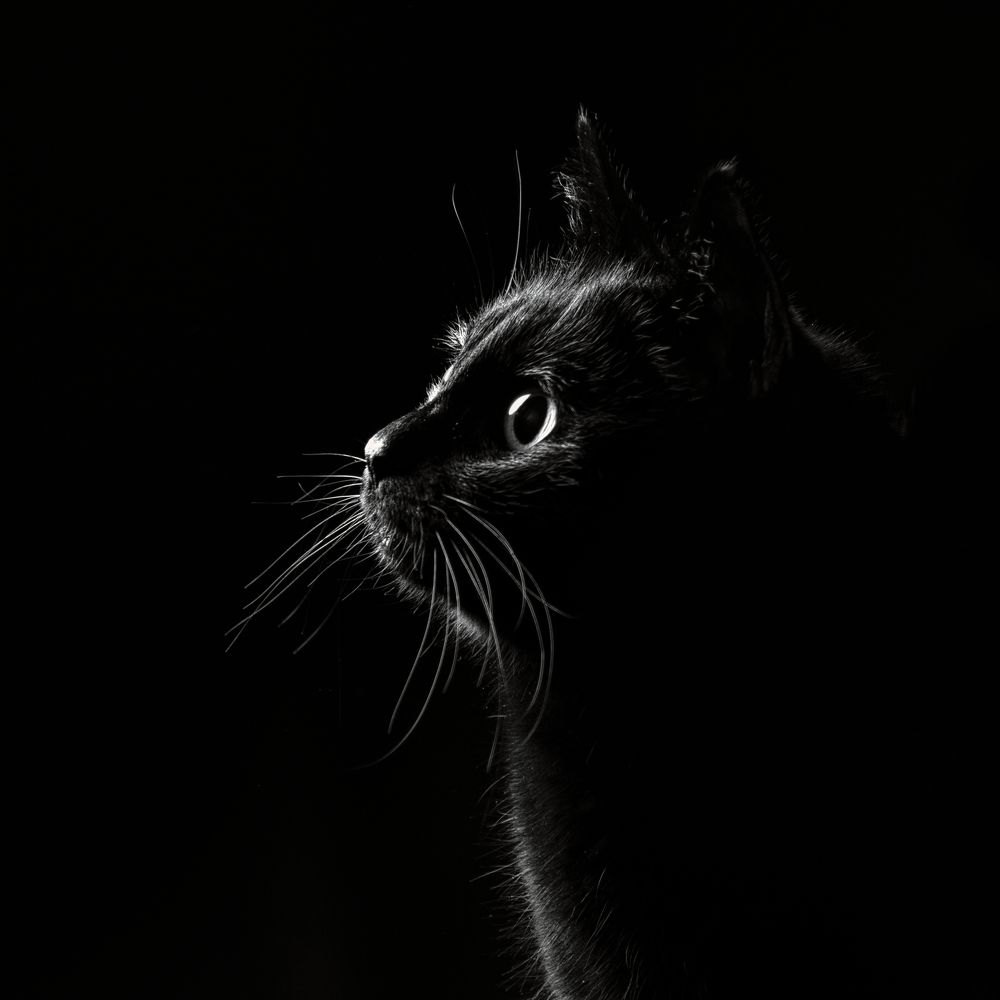 Photograph by Евгения Прокопович