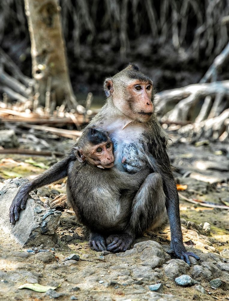 Фотография автора Tính Nguyễn