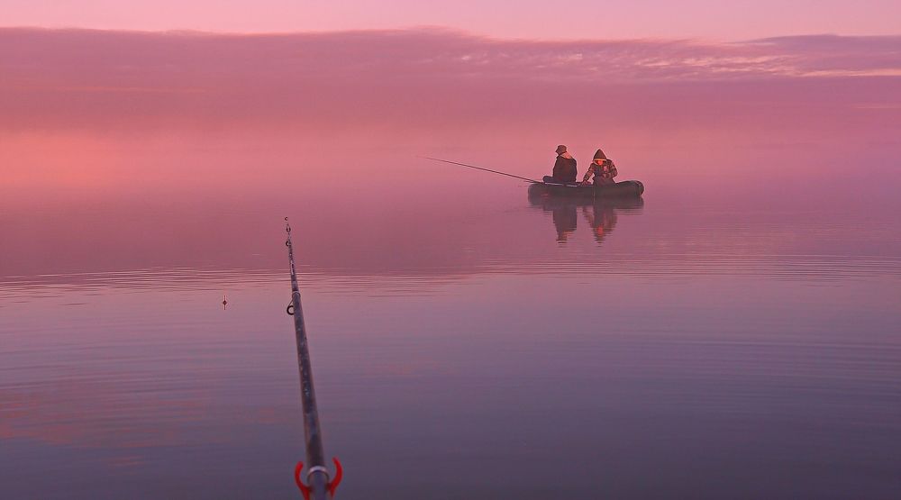 Фотография автора Марков Сергей