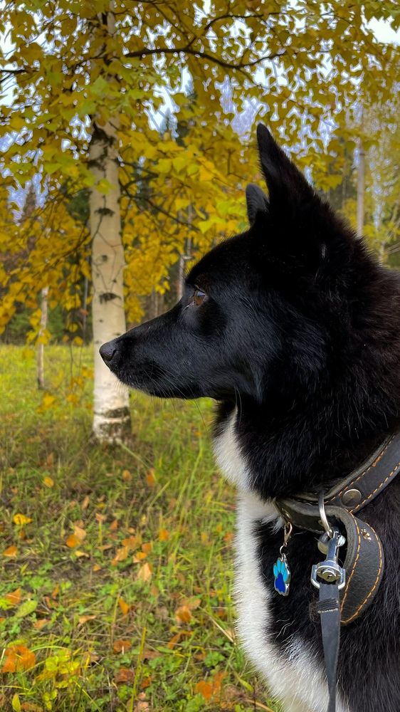 Photograph by Alina Andreevna