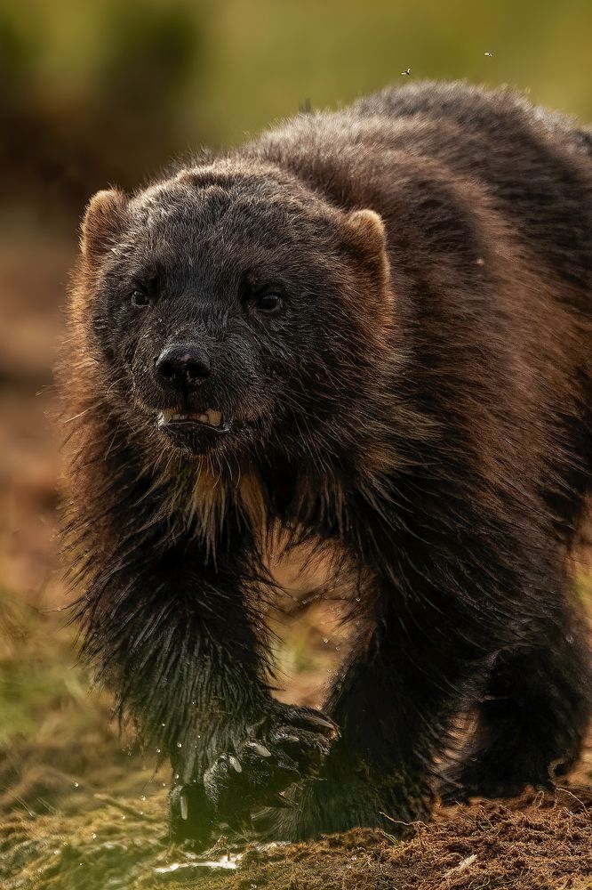 Photograph by Ernestas Balcikonis