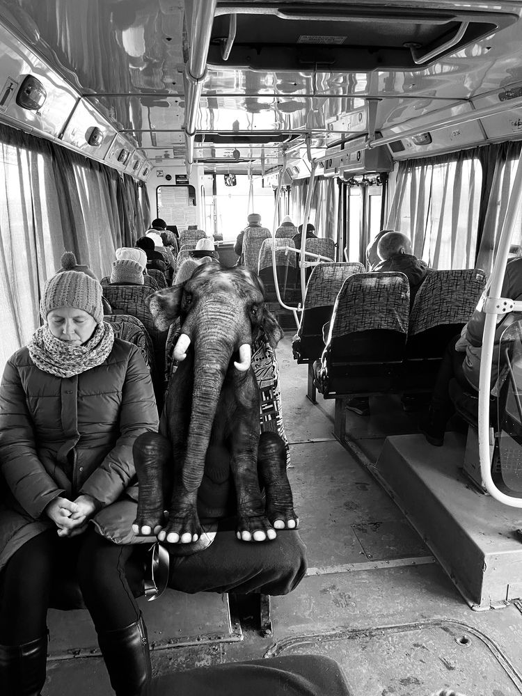 Photograph by Лыжин Григорий