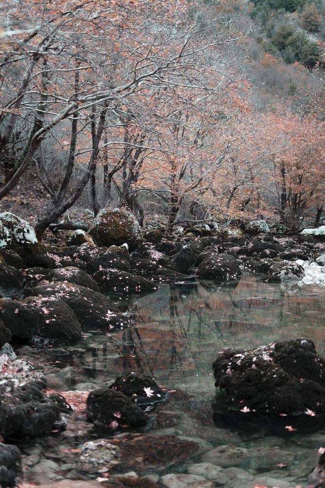 Photograph by Elina Astrapellou