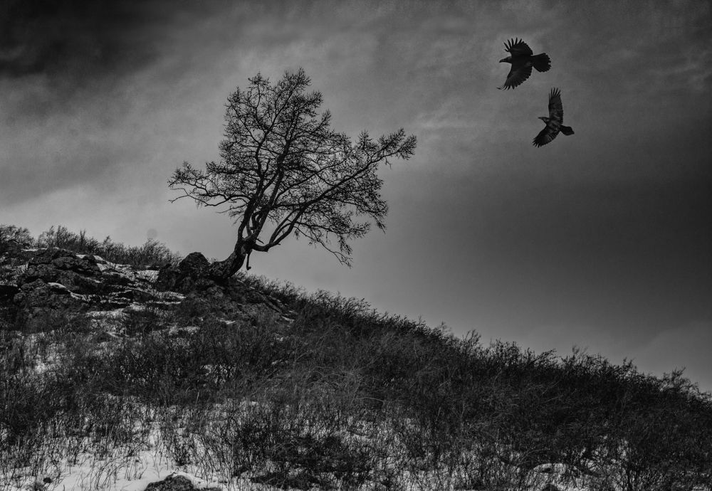 Photograph by Екатерина Лебедева