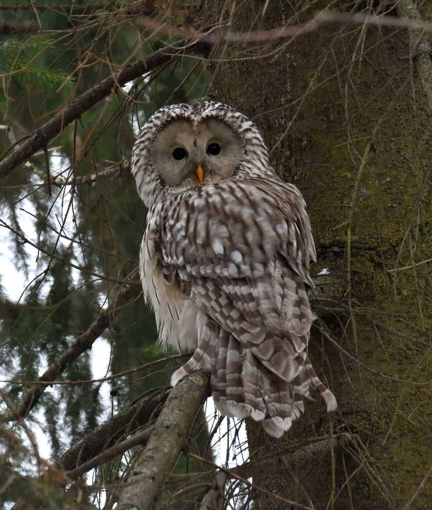 Photograph by Енушевский Георгий