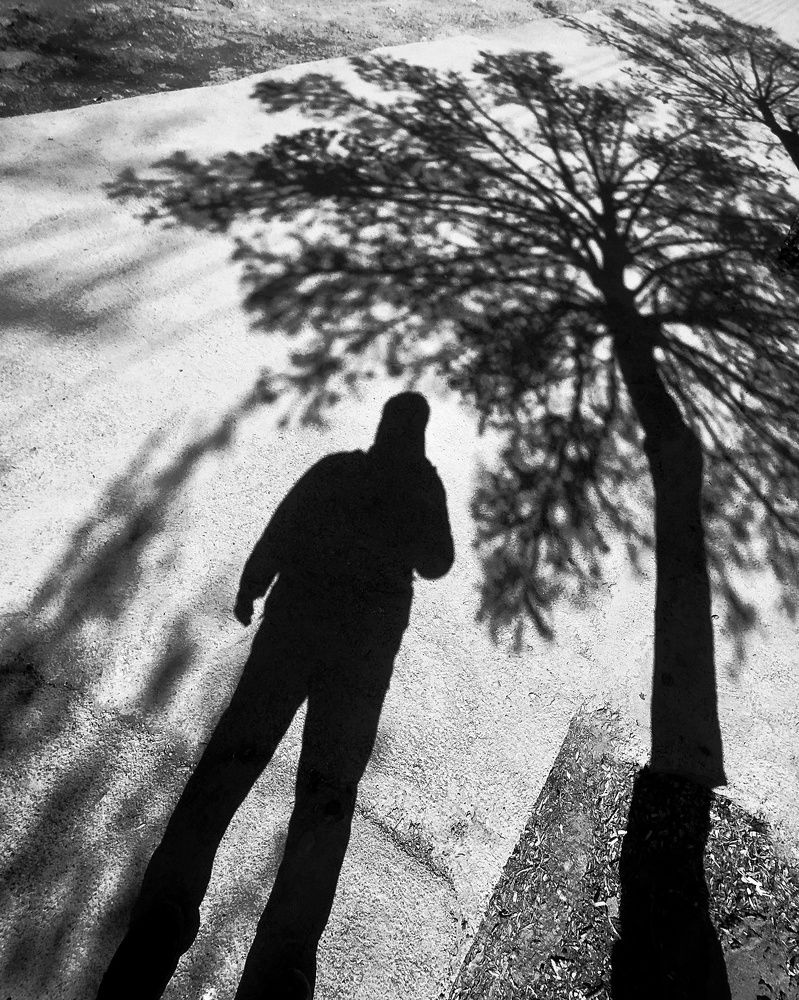 Photograph by Shamal Shakibayi