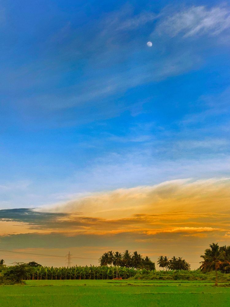 Photograph by ASWIN KUMAR S