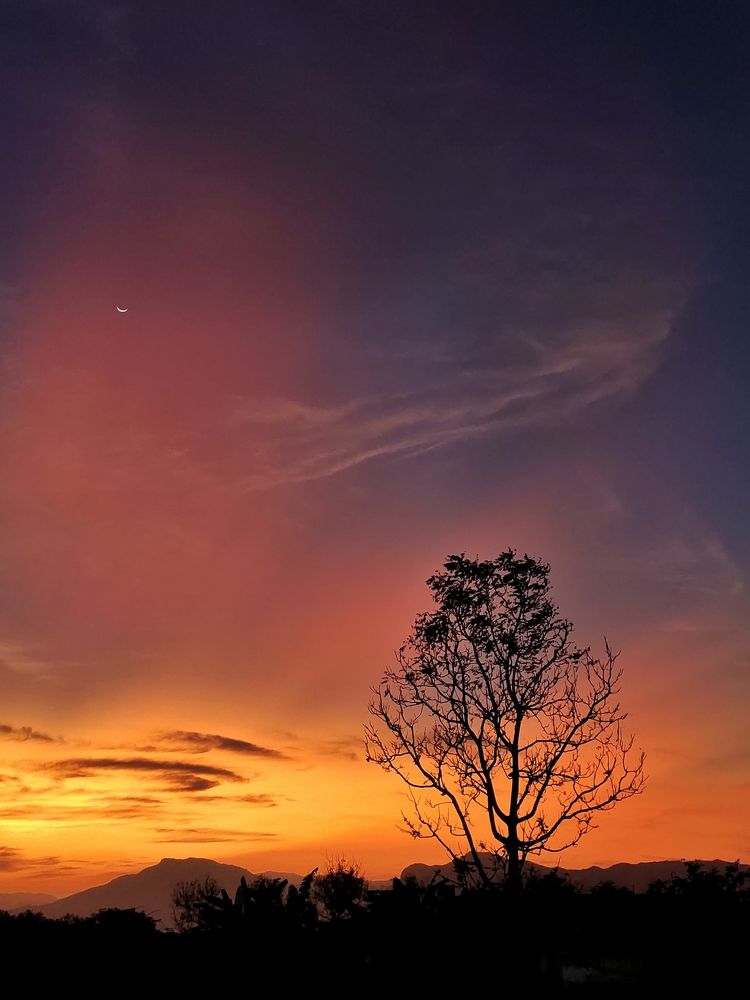 Photograph by ASWIN KUMAR S