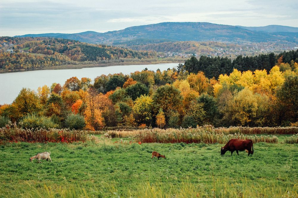 Photograph by Юлия Белозёрова