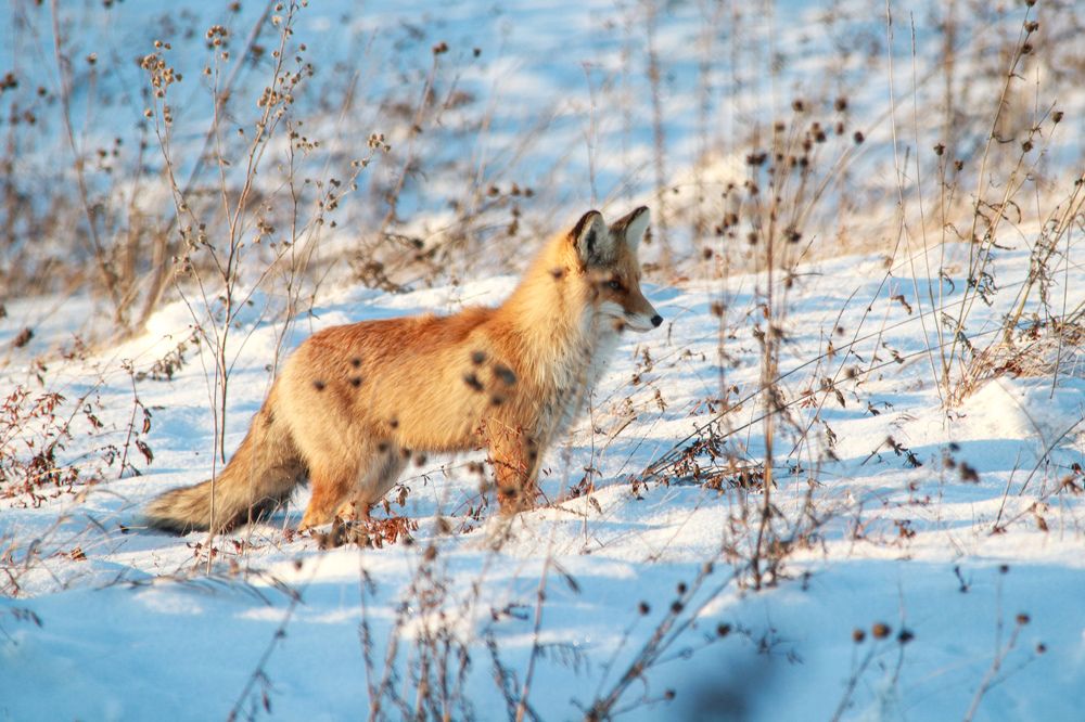 Photograph by Наталья Трифуз