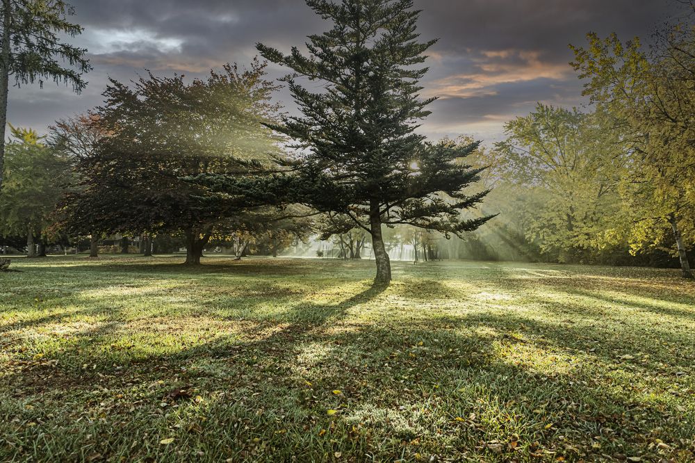 Photograph by Ksenia Kouri