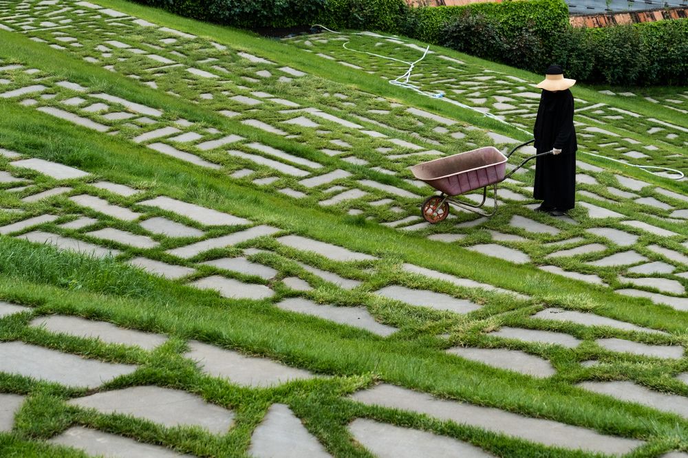 Photograph by Светлана