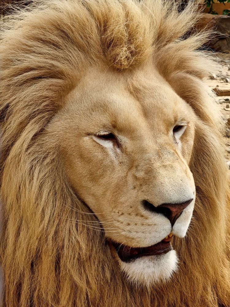 Photograph by Hanna Bourne