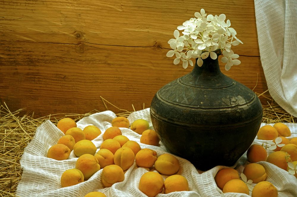 Photograph by Tatiana