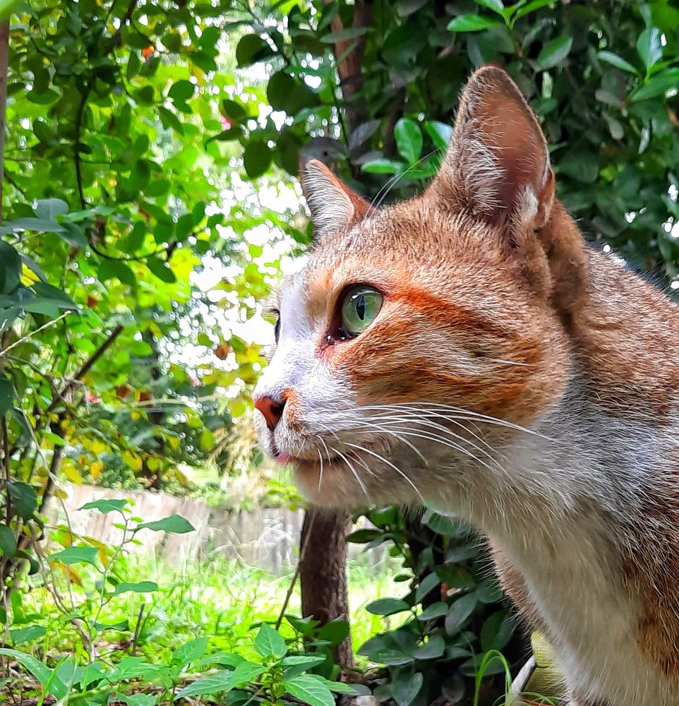 Photograph by Masoumeh Rahimi