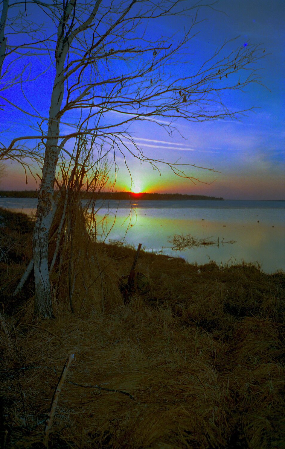 Photo #8466089