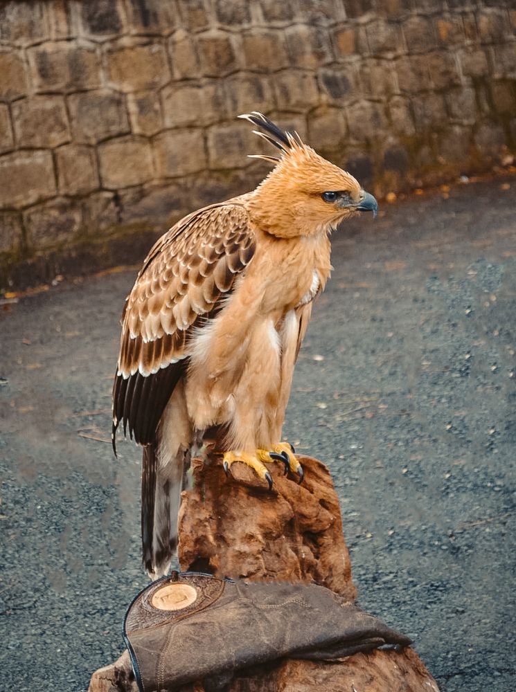 Photograph by Анжелика Трошина